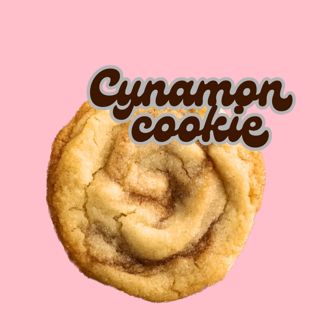 cynamon plane cookie 100g